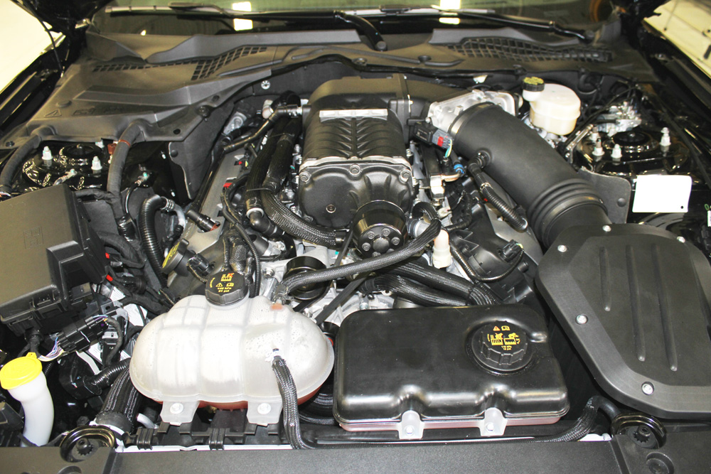 Ford Racing Supercharger Kit 2015 Mustang Installed